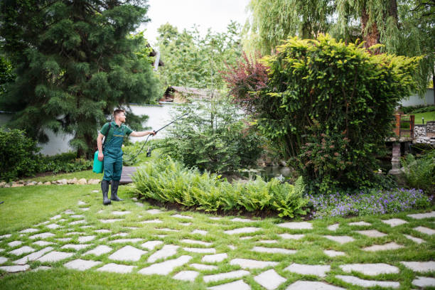 Best Best Pest Control Companies  in Faxon, PA