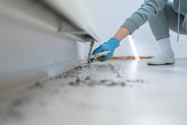 Best Insect Control  in Faxon, PA
